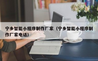 肇庆宁乡智能小程序制作厂家（宁乡智能小程序制作厂家电话）