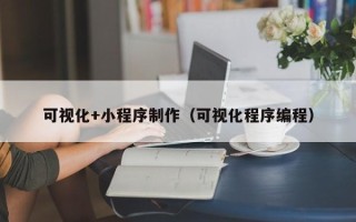 肇庆可视化+小程序制作（可视化程序编程）