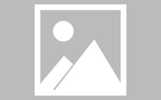 肇庆关于网站建设免费（关于网站建设免费的通知）